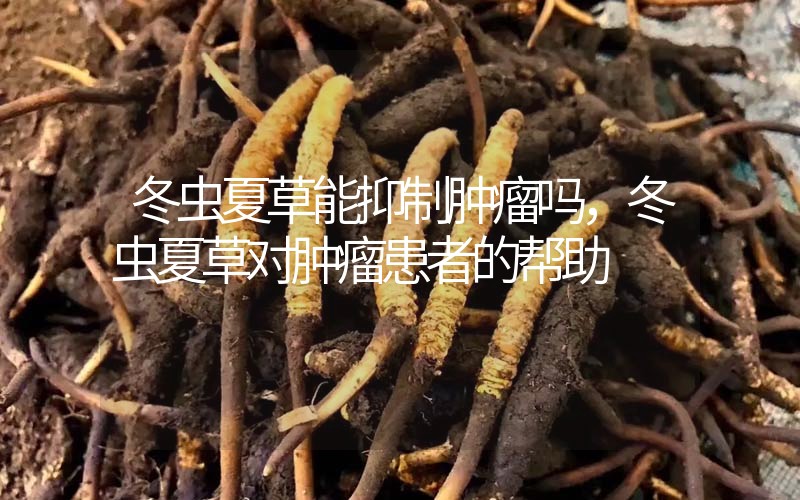 冬蟲夏草能抑制腫瘤嗎？冬蟲夏草對腫瘤患者的幫助