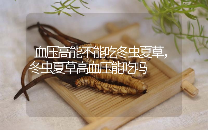 血壓高能不能吃冬蟲夏草，冬蟲夏草高血壓能吃嗎？