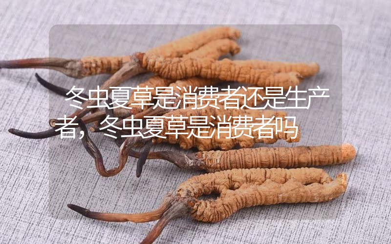 貧血吃冬蟲夏草有效果嗎，貧血虛弱者可以用冬蟲夏草嗎？