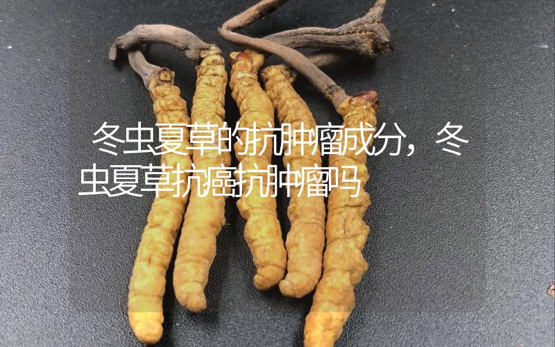 冬蟲夏草的抗腫瘤成分，冬蟲夏草抗癌抗腫瘤嗎？