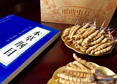 冬蟲夏草真就那么好嗎？它的主要功能是什么呀