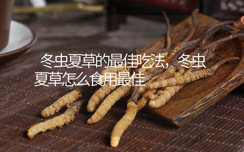 冬蟲夏草的最佳吃法，冬蟲夏草怎么食用最佳