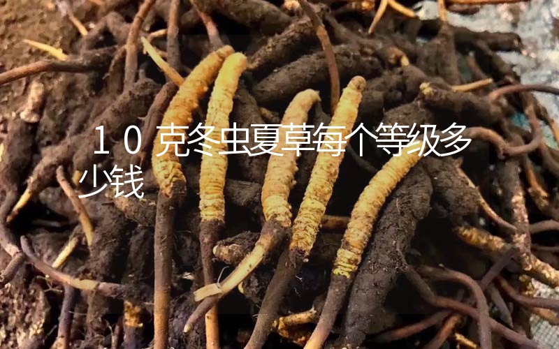 10克冬蟲夏草每個等級多少錢？