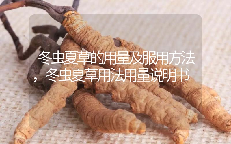 冬蟲夏草的用量及服用方法，冬蟲夏草用法用量