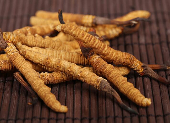 什么樣的冬蟲夏草算是優(yōu)質(zhì)的？