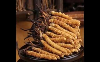 為什么藏民手里的蟲(chóng)草比網(wǎng)上貴？