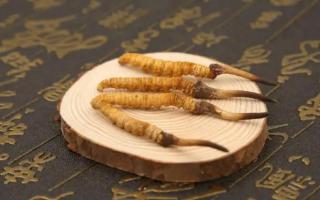 冬蟲夏草有保質(zhì)期嗎？