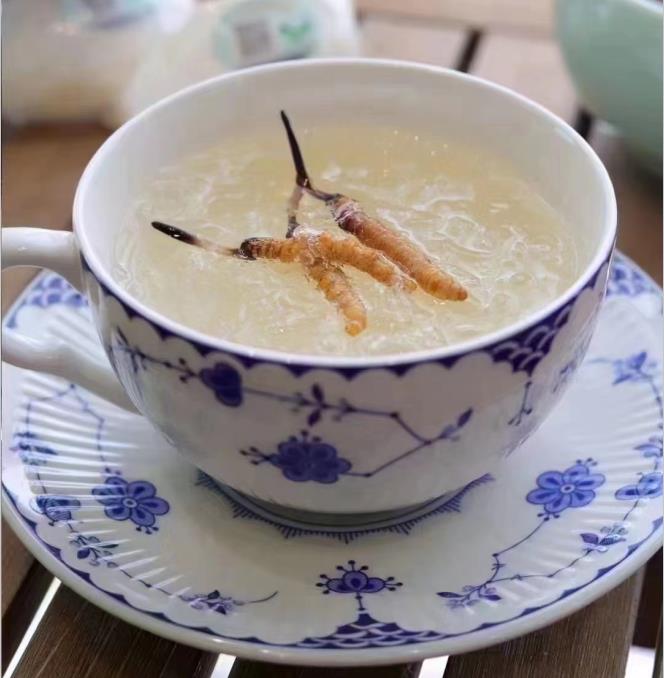 養(yǎng)生小竅門：冬蟲夏草燉什么好喝？