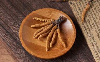 怎么分辨哪些冬蟲夏草是面粉做的？