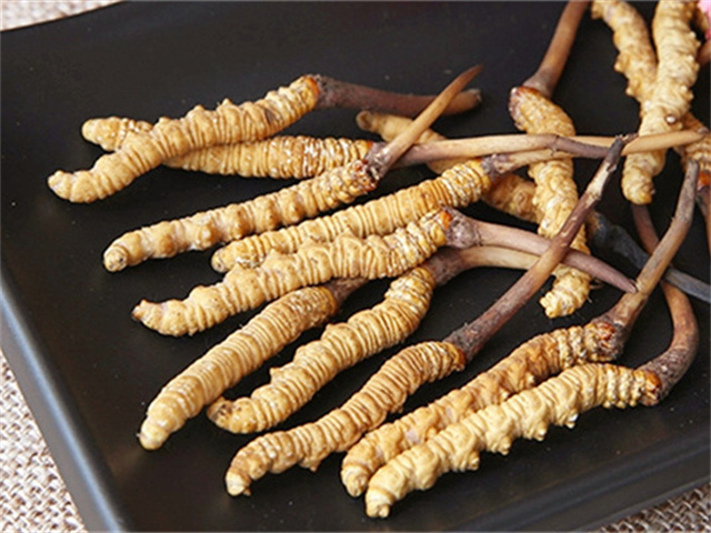 真的冬蟲夏草什么價格？影響冬蟲夏草價格波動的3個關(guān)鍵因素