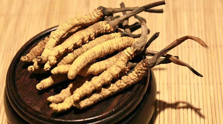 冬蟲夏草的價(jià)格一克：為何如此昂貴？