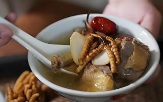 冬蟲夏草搭配有道，滋養(yǎng)肺部效果妙