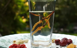 冬蟲夏草鮮品泡酒：養(yǎng)生佳釀還是健康隱患？