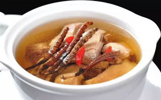 冬蟲夏草煲湯的最佳季節(jié)，喝對事半功倍
