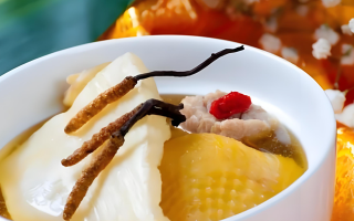 冬蟲夏草每天什么時(shí)候吃最好？一文詳解最佳食用時(shí)間