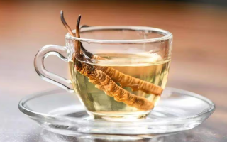 一杯蟲(chóng)草水，健康新滋味：冬蟲(chóng)夏草泡水喝的奇妙功效