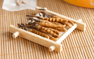 冬蟲夏草一般多少錢一斤？?jī)r(jià)格背后的價(jià)值解析