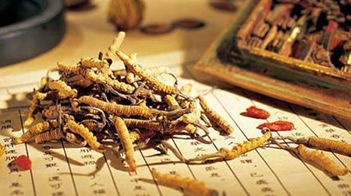 冬蟲夏草是什么長成的？揭秘其獨(dú)特的生長歷程